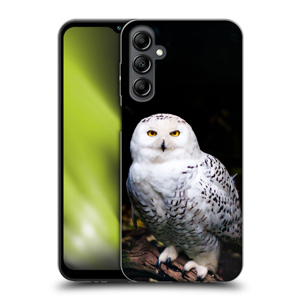 Patrik Lovrin Animal Portraits Majestic Winter Snowy Owl Soft Gel Case for Samsung Galaxy M14 5G