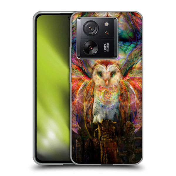 Jumbie Art Visionary Owl Soft Gel Case for Xiaomi 13T 5G / 13T Pro 5G