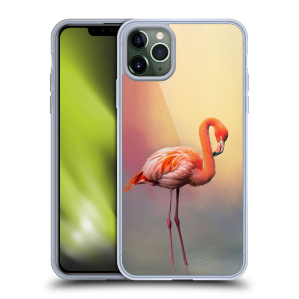 Simone Gatterwe Assorted Designs American Flamingo Soft Gel Case for Apple iPhone 11 Pro Max