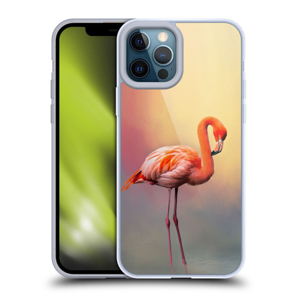 Simone Gatterwe Assorted Designs American Flamingo Soft Gel Case for Apple iPhone 12 Pro Max