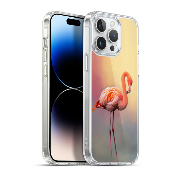 Simone Gatterwe Assorted Designs American Flamingo Soft Gel Case for Apple iPhone 13 Pro Max & MagSafe
