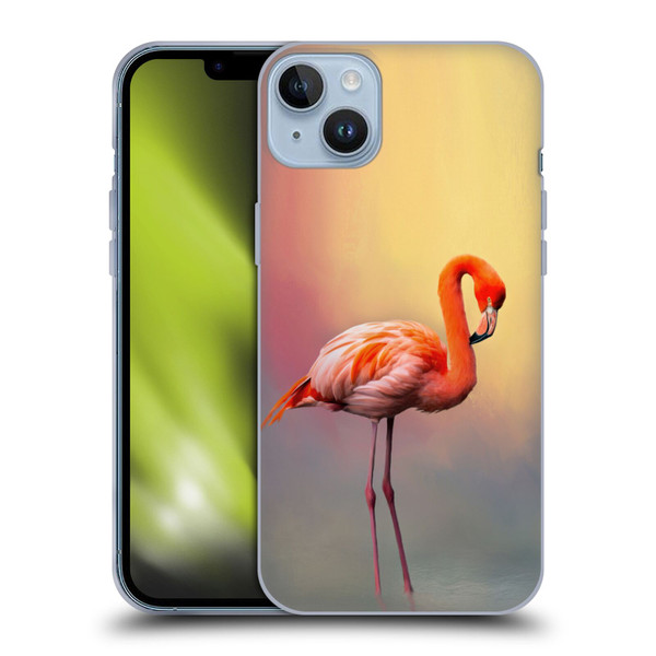 Simone Gatterwe Assorted Designs American Flamingo Soft Gel Case for Apple iPhone 14 Plus