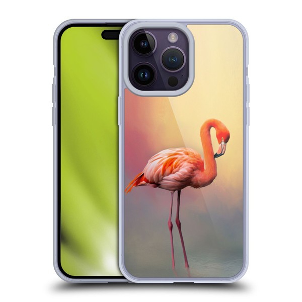 Simone Gatterwe Assorted Designs American Flamingo Soft Gel Case for Apple iPhone 14 Pro Max
