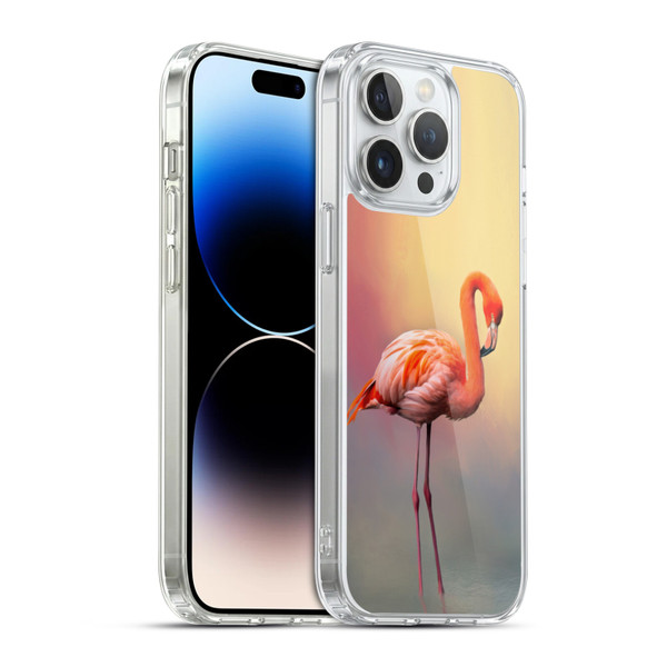 Simone Gatterwe Assorted Designs American Flamingo Soft Gel Case for Apple iPhone 14 Pro Max & MagSafe
