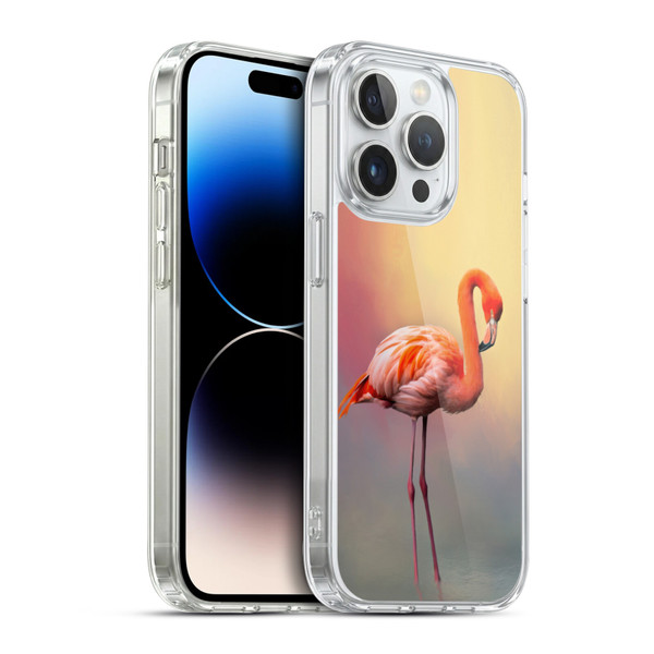Simone Gatterwe Assorted Designs American Flamingo Soft Gel Case for Apple iPhone 14 Pro & MagSafe