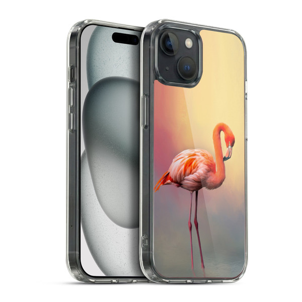Simone Gatterwe Assorted Designs American Flamingo Soft Gel Case for Apple iPhone 15 Plus & MagSafe