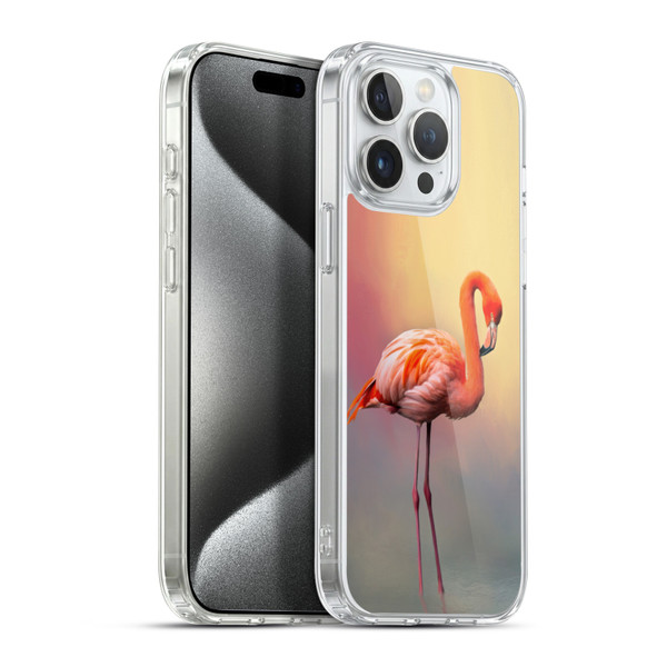 Simone Gatterwe Assorted Designs American Flamingo Soft Gel Case for Apple iPhone 15 Pro Max & MagSafe
