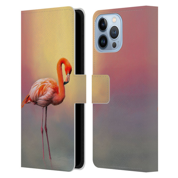 Simone Gatterwe Assorted Designs American Flamingo Leather Book Wallet Case Cover For Apple iPhone 13 Pro Max