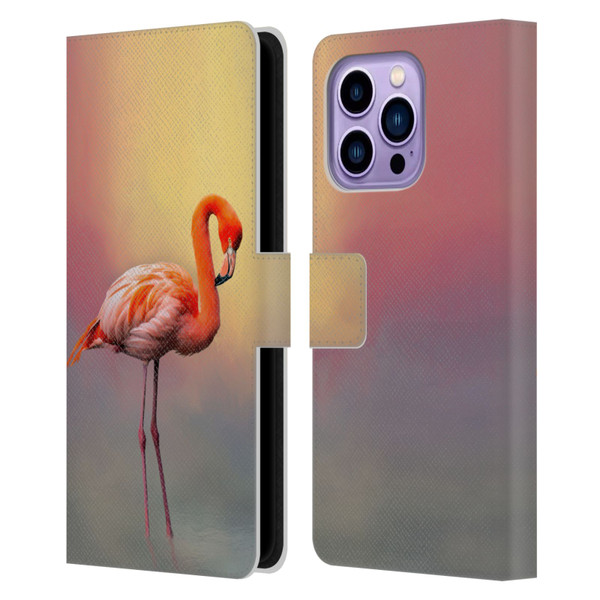 Simone Gatterwe Assorted Designs American Flamingo Leather Book Wallet Case Cover For Apple iPhone 14 Pro Max