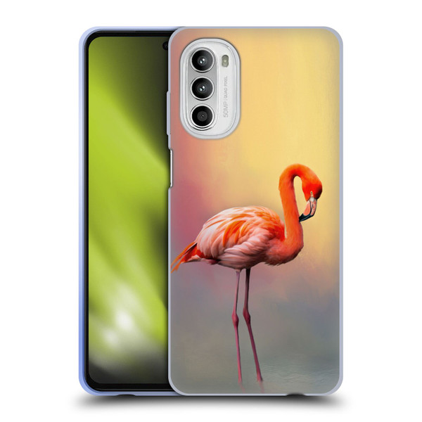 Simone Gatterwe Assorted Designs American Flamingo Soft Gel Case for Motorola Moto G52