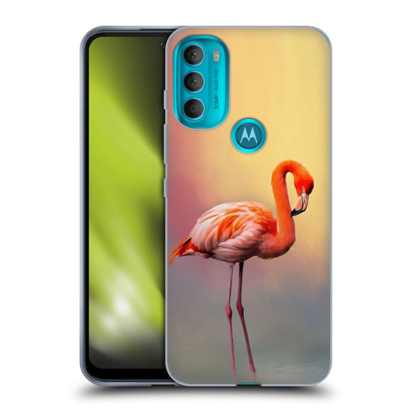 Simone Gatterwe Assorted Designs American Flamingo Soft Gel Case for Motorola Moto G71 5G