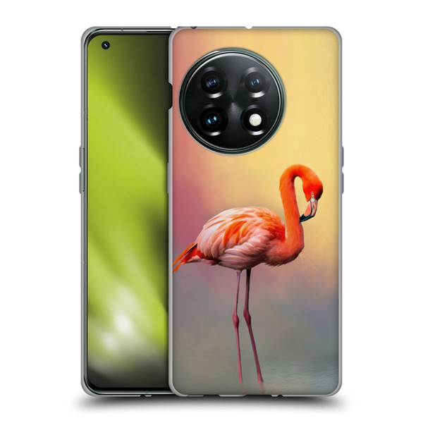 Simone Gatterwe Assorted Designs American Flamingo Soft Gel Case for OnePlus 11 5G