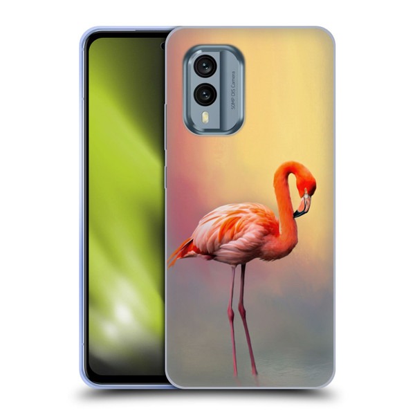 Simone Gatterwe Assorted Designs American Flamingo Soft Gel Case for Nokia X30