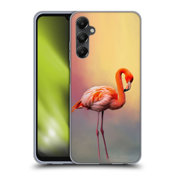 Simone Gatterwe Assorted Designs American Flamingo Soft Gel Case for Samsung Galaxy A05s