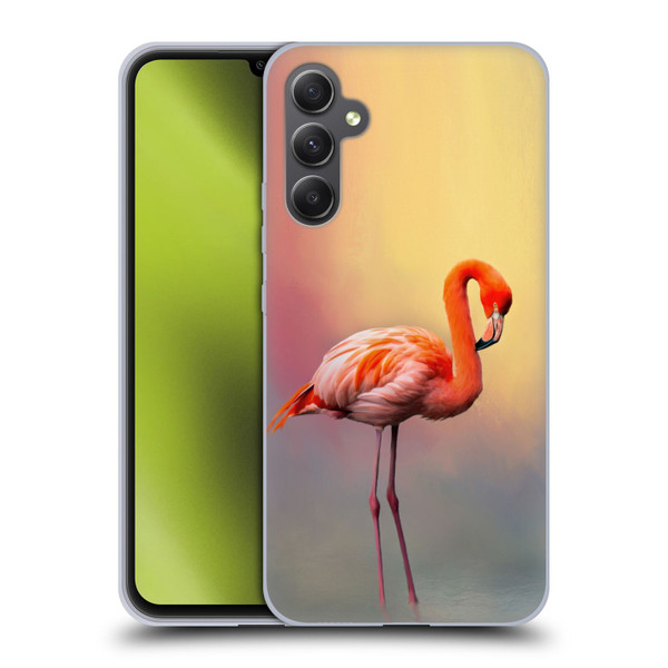 Simone Gatterwe Assorted Designs American Flamingo Soft Gel Case for Samsung Galaxy A34 5G