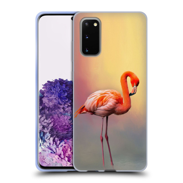 Simone Gatterwe Assorted Designs American Flamingo Soft Gel Case for Samsung Galaxy S20 / S20 5G