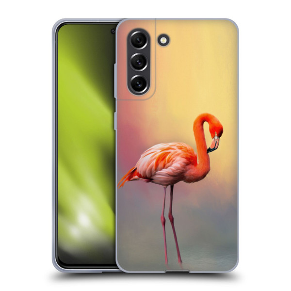 Simone Gatterwe Assorted Designs American Flamingo Soft Gel Case for Samsung Galaxy S21 FE 5G
