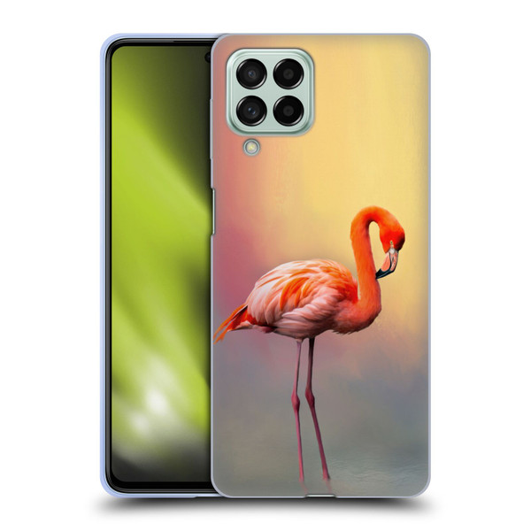 Simone Gatterwe Assorted Designs American Flamingo Soft Gel Case for Samsung Galaxy M53 (2022)