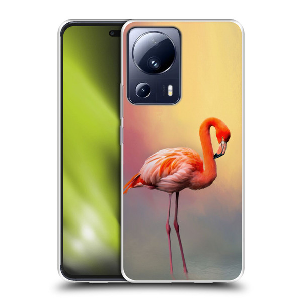 Simone Gatterwe Assorted Designs American Flamingo Soft Gel Case for Xiaomi 13 Lite 5G