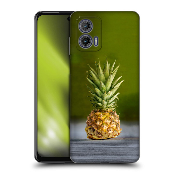 Pixelmated Animals Surreal Pets Pineapple Turtle Soft Gel Case for Motorola Moto G73 5G