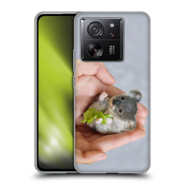 Pixelmated Animals Surreal Pets Baby Koala Soft Gel Case for Xiaomi 13T 5G / 13T Pro 5G