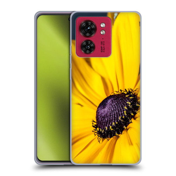 PLdesign Flowers And Leaves Daisy Soft Gel Case for Motorola Moto Edge 40