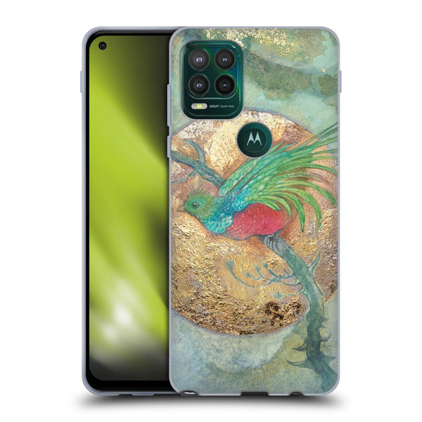 Stephanie Law Graphics Bird Soft Gel Case for Motorola Moto G Stylus 5G 2021