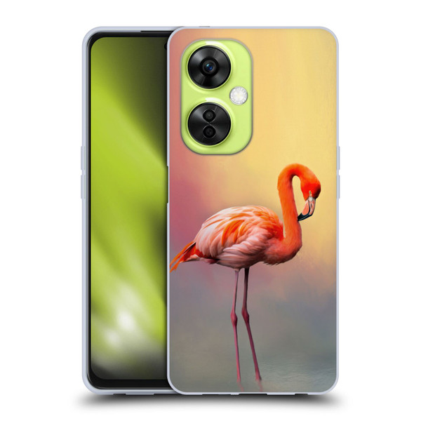 Simone Gatterwe Assorted Designs American Flamingo Soft Gel Case for OnePlus Nord CE 3 Lite 5G