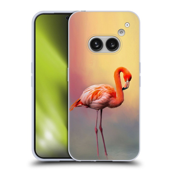 Simone Gatterwe Assorted Designs American Flamingo Soft Gel Case for Nothing Phone (2a)