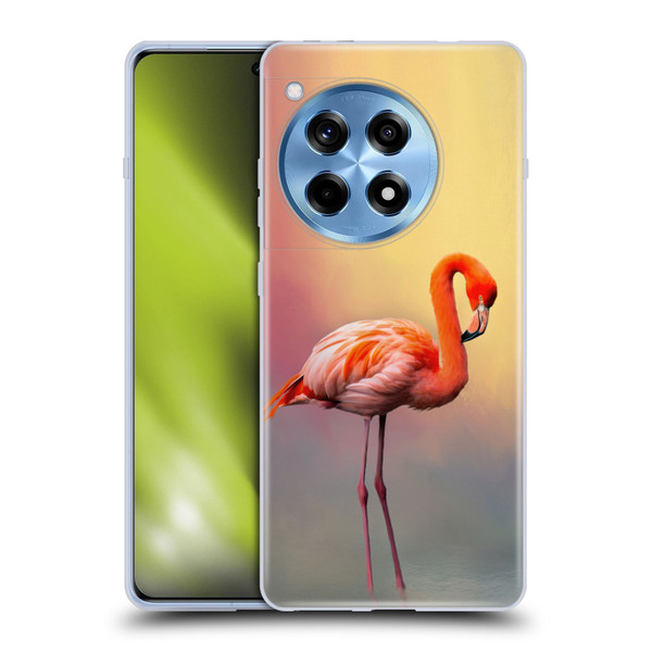 Simone Gatterwe Assorted Designs American Flamingo Soft Gel Case for OnePlus 12R