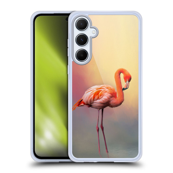 Simone Gatterwe Assorted Designs American Flamingo Soft Gel Case for Samsung Galaxy A55 5G