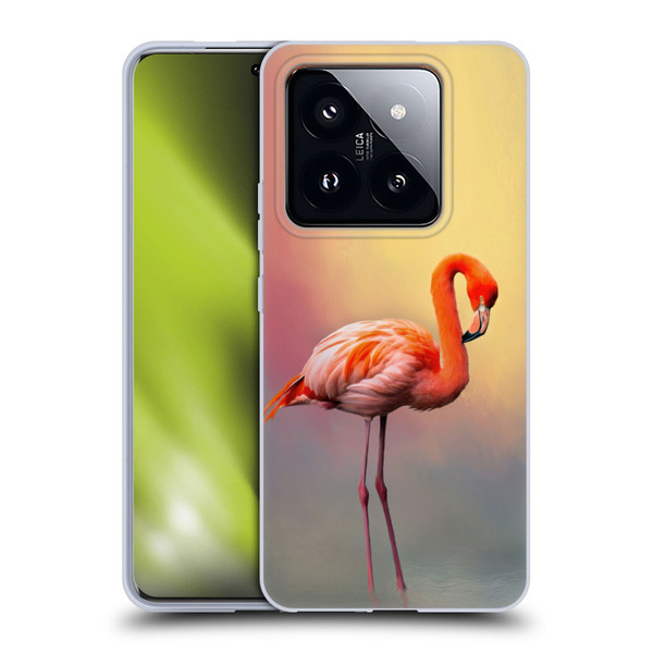 Simone Gatterwe Assorted Designs American Flamingo Soft Gel Case for Xiaomi 14 Pro