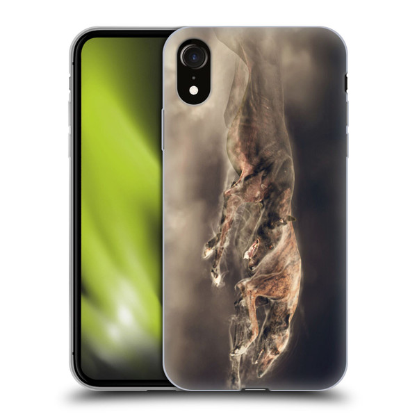 Klaudia Senator Animal Art Greyhound Soft Gel Case for Apple iPhone XR