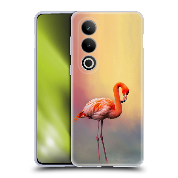 Simone Gatterwe Assorted Designs American Flamingo Soft Gel Case for OPPO OnePlus Ace 3V 5G