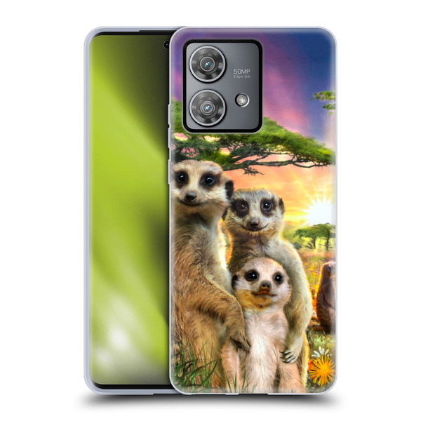 Aimee Stewart Animals Meerkats Soft Gel Case for Motorola Edge 40 Neo 5G