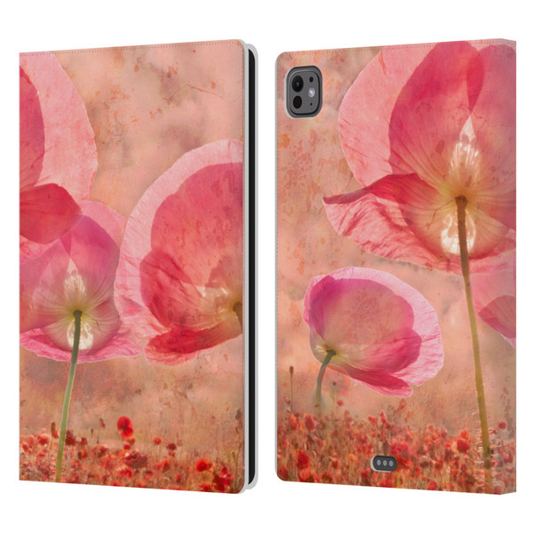 Celebrate Life Gallery Florals Dance Of The Fairies Leather Book Wallet Case Cover For Apple iPad Pro 11 M4 2024