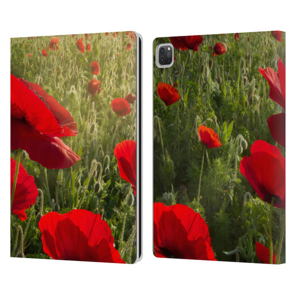 Celebrate Life Gallery Florals Waiting For The Morning Leather Book Wallet Case Cover For Apple iPad Pro 13 M4 2024