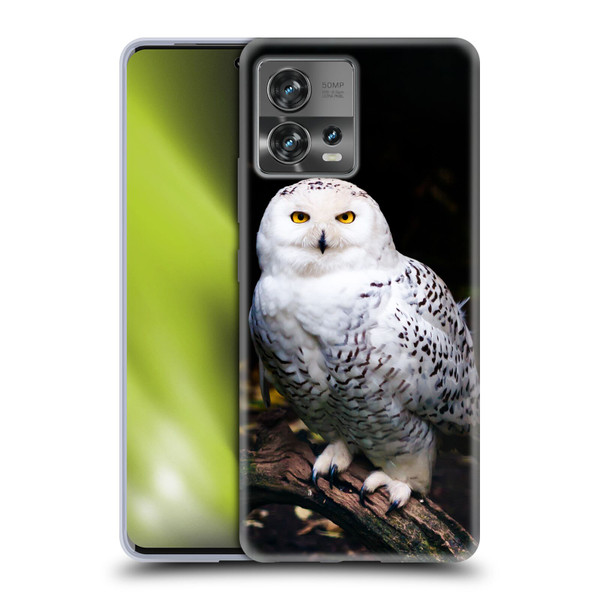 Patrik Lovrin Animal Portraits Majestic Winter Snowy Owl Soft Gel Case for Motorola Moto Edge 30 Fusion