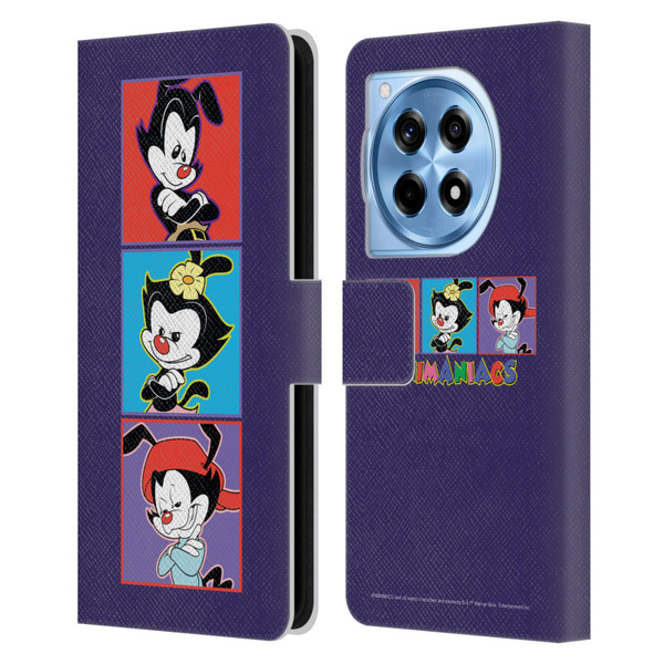 Animaniacs Graphics Tiles Leather Book Wallet Case Cover For OnePlus 12R
