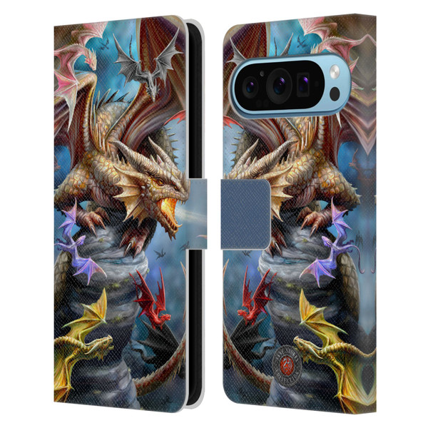 Anne Stokes Dragons 4 Clan Leather Book Wallet Case Cover For Google Pixel 9 / Pixel 9 Pro