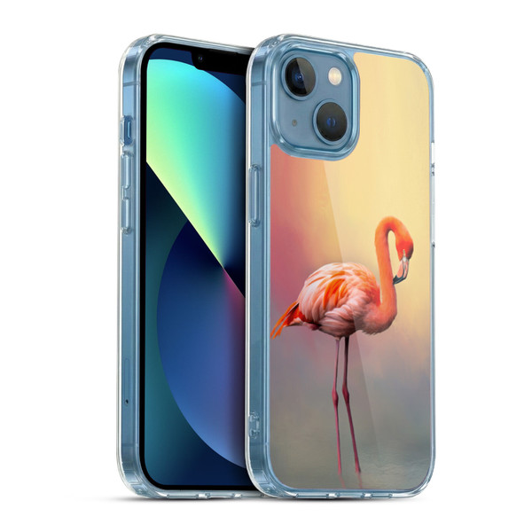 Simone Gatterwe Assorted Designs American Flamingo Soft Gel Case for Apple iPhone 13 Mini & MagSafe