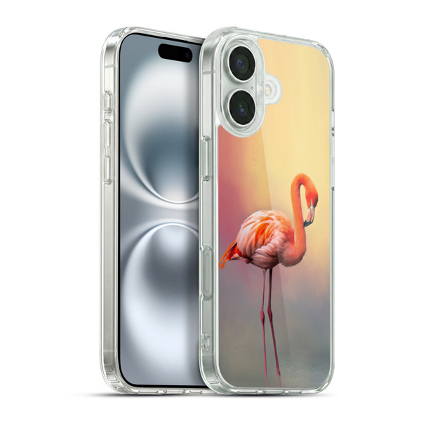 Simone Gatterwe Assorted Designs American Flamingo Soft Gel Case for Apple iPhone 16 Plus & MagSafe