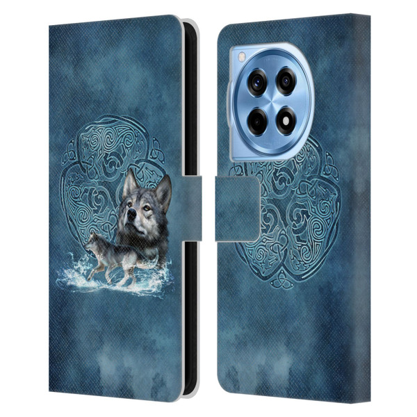 Brigid Ashwood Celtic Wisdom Wolf Leather Book Wallet Case Cover For OnePlus 12R