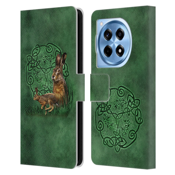 Brigid Ashwood Celtic Wisdom 2 Hare Leather Book Wallet Case Cover For OnePlus 12R