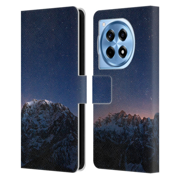 Patrik Lovrin Night Sky Stars Above Mountains Leather Book Wallet Case Cover For OnePlus 12R