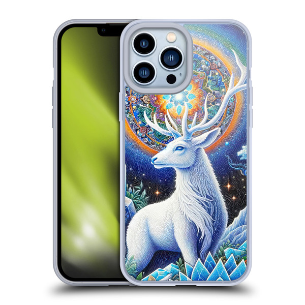 Shambhala Light Visionary Art Celestial Graphics Scared Spirit Soft Gel Case for Apple iPhone 13 Pro Max