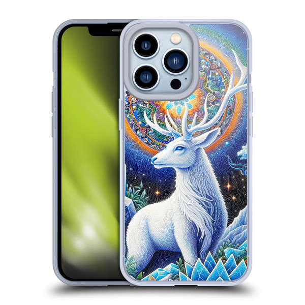 Shambhala Light Visionary Art Celestial Graphics Scared Spirit Soft Gel Case for Apple iPhone 13 Pro