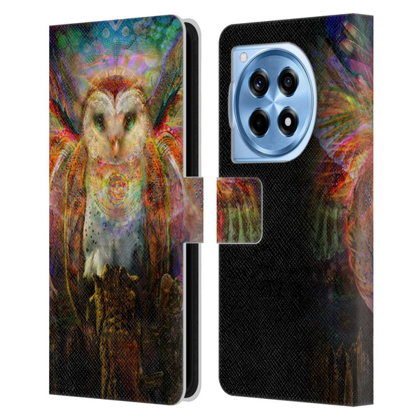 Jumbie Art Visionary Owl Leather Book Wallet Case Cover For OnePlus 12R