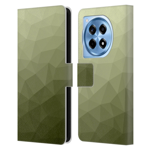 PLdesign Geometric Patterns Army Green Gradient Mesh Leather Book Wallet Case Cover For OnePlus 12R