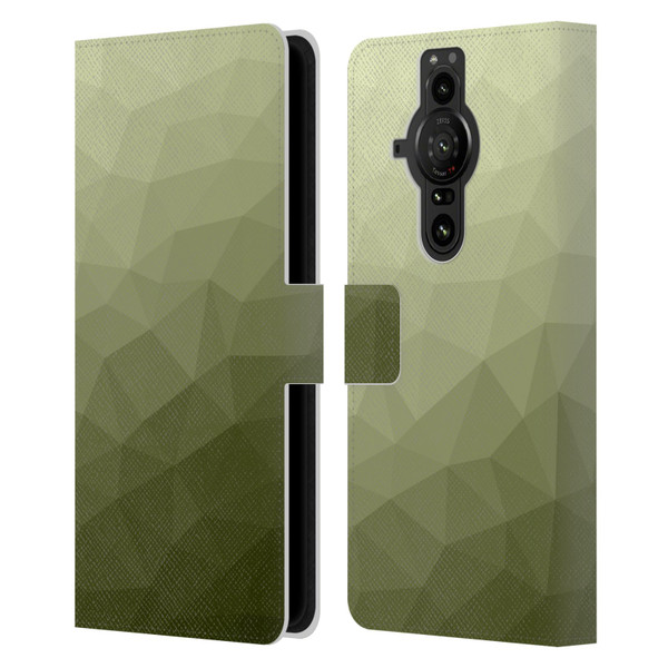 PLdesign Geometric Patterns Army Green Gradient Mesh Leather Book Wallet Case Cover For Sony Xperia Pro-I